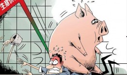 猪价最新爆料图片高清,高清爆料揭示市场新动态